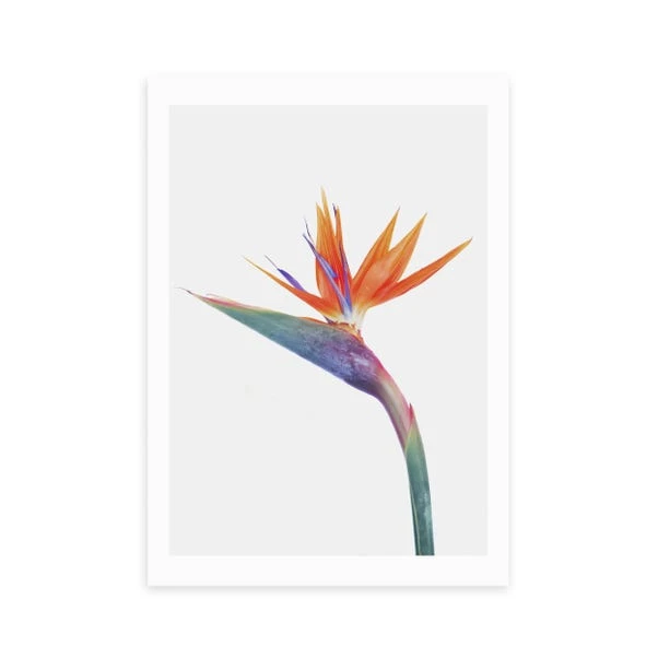 East End Prints Exuberance Print 2 East End Prints Exuberance Print - Image 2