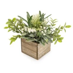 Dunelm Lily And Herbs In Wooden Box -Decoration Store 30823509 alt02